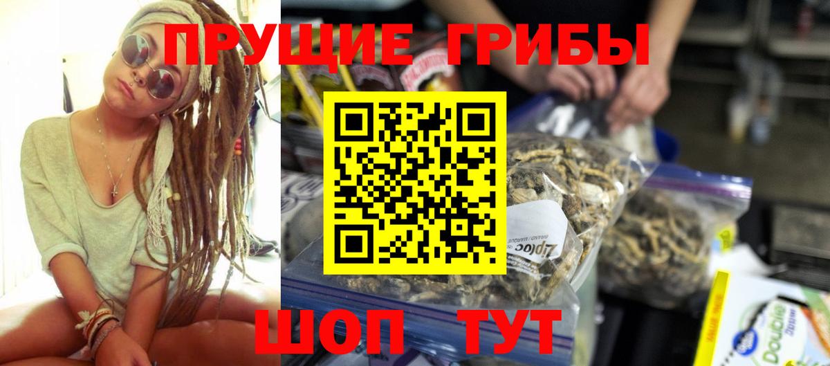 как найти закладки  Вход с VPN  Киров  Псилоцибиновые грибы MAGIC MUSHROOMS  Галлюциногенные грибы Psilocybine cubensis 