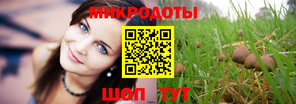 Псилоцибиновые грибы прущие грибы Киров