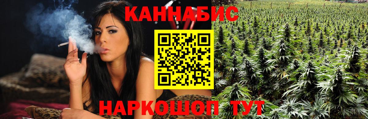 Конопля планчик  Вход с VPN  Марихуана марихуана  Киров  Каннабис ГИДРОПОН 